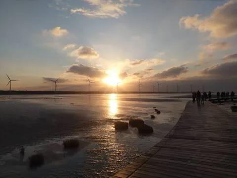 한국어 가이드와 함께하는 대만 타이중 일일투어 (타이중 출발/일월담,고미습지)