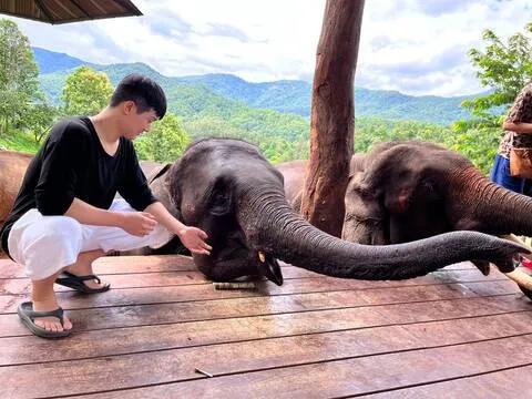 치앙마이 감성여행! 엘리핀팜&카페+반캉왓+Cypress Lanes(100바트음료쿠폰 포함)