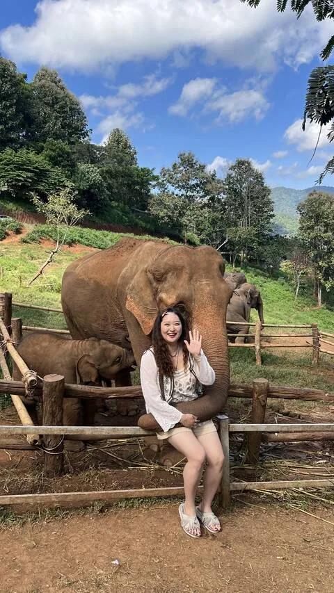  [치앙마이 핫플 관광지] 엘리핀팜&싸이프레스레인&몬쨈 투어