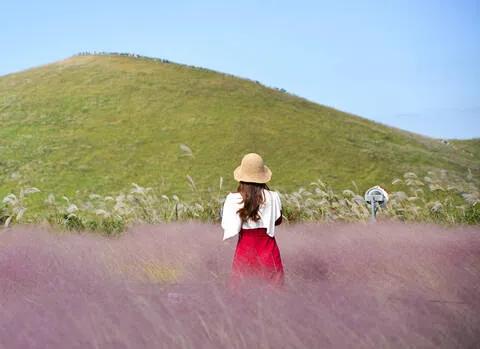 [킴스제주] 단독 프라이빗 제주도 자유 투어
