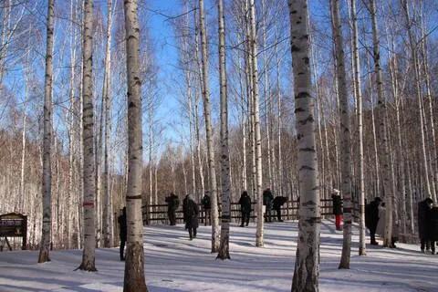 설악산뷰 숙박 해맞이여행  그림책명상1박2일