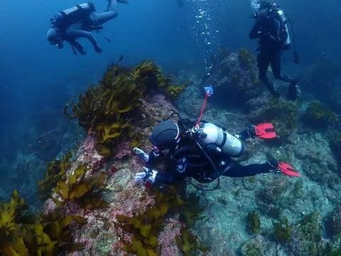제주바다에서 전용 보트로 즐기는 호핑투어, 스노클링 사진 촬영까지!(서귀포)