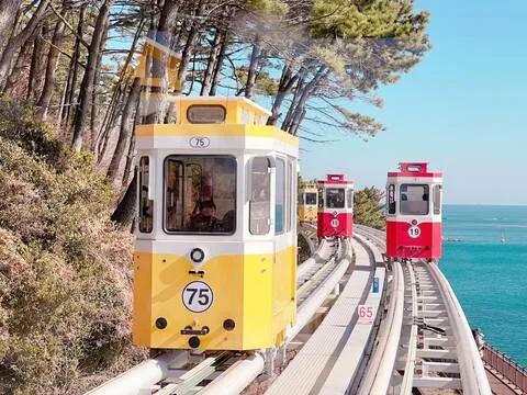 [부산] 미포스카이캡슐 · 감천문화마을 · 오륙도 스카이워크 투어 (부산 출발)