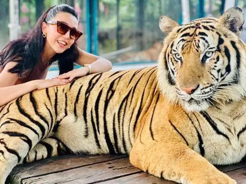 🏙️📸👪🐯🐘 <푸켓> 반나절 시티투어 | 가족 체험 · 코끼리 & 타이거 파크