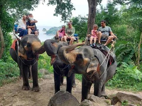 👨‍👩‍👧‍👦🐘[푸켓]  언덕위 바다전망 코끼리 트래킹