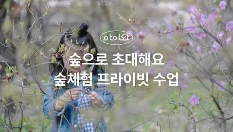 [키즈][서울/경기/대전/광주/부산] 우리동네 숲으로 출동! 숲파티포레 프라이빗 숲체험