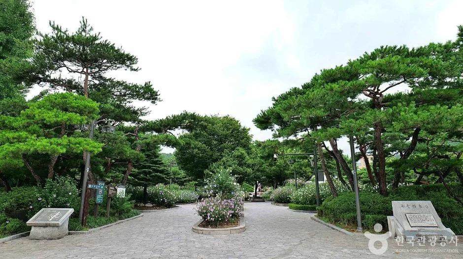 도심 속에서 역사와 자연을 동시에?"... 서울특별시 종로구, 30년 만에 시민 품으로 돌아온 무궁화동산