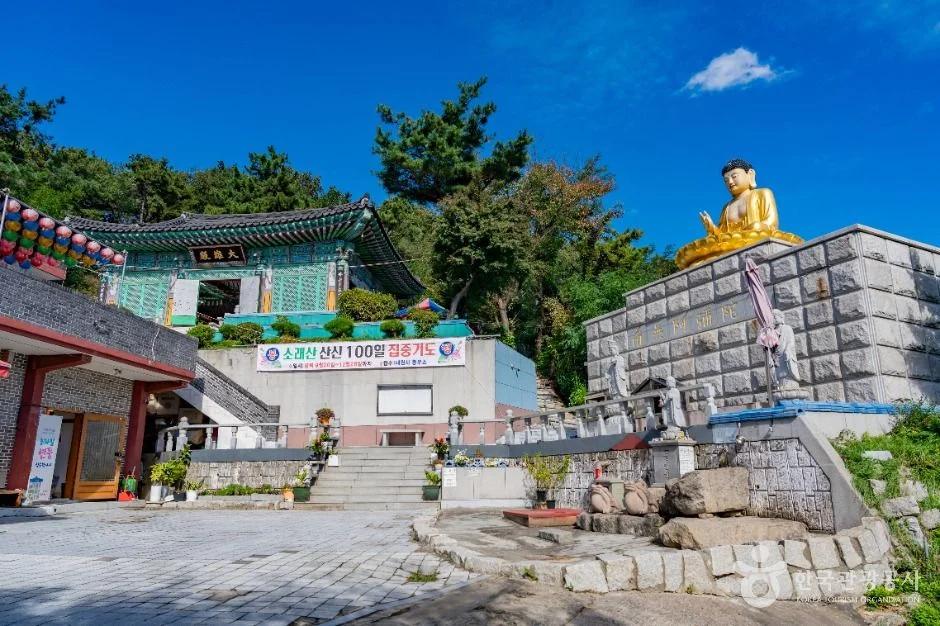 봄꽃과 고즈넉한 사찰의 조화"... 시흥시 소래산 내원사 힐링 여행