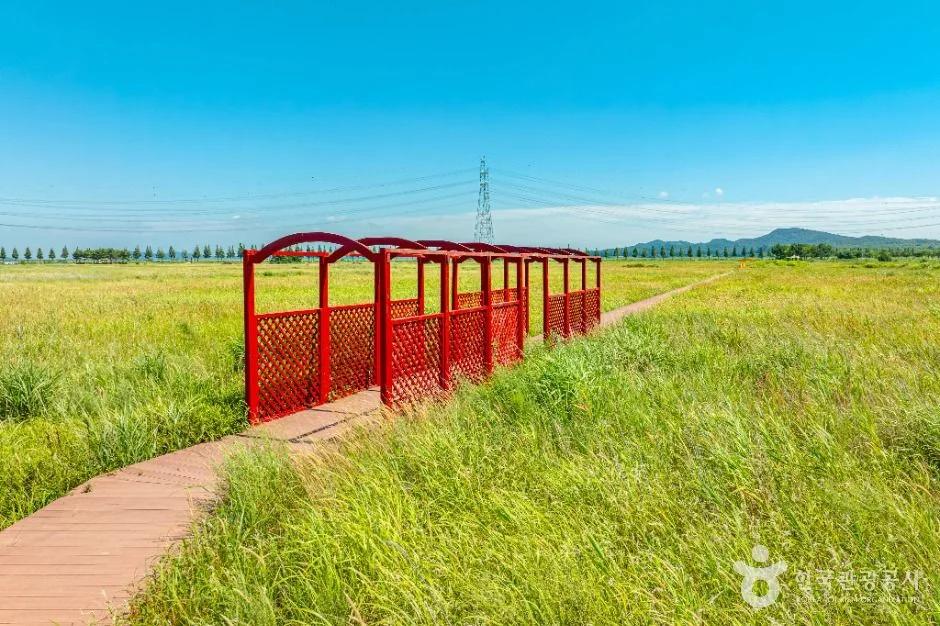 안산 대부바다향기테마파크, 갈대밭 산책 코스와 주차 정보