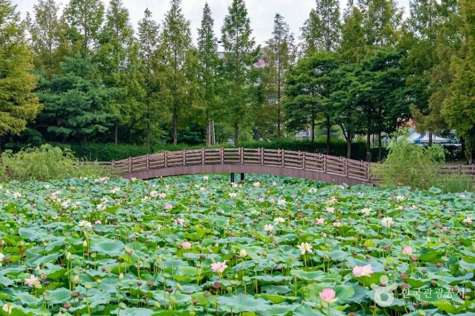 화성 봉담호수공원, 주차와 산책하기 좋은 코스