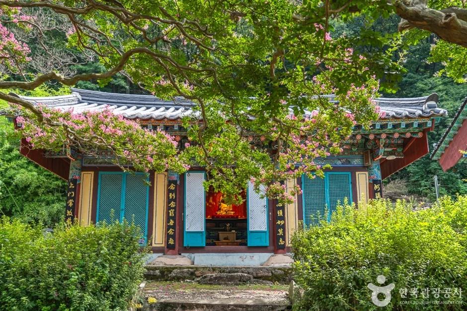 이끼 낀 돌탑이 뿜어내는 신비로움"... 충청북도 영동 반야사, 천년 고찰의 비경
