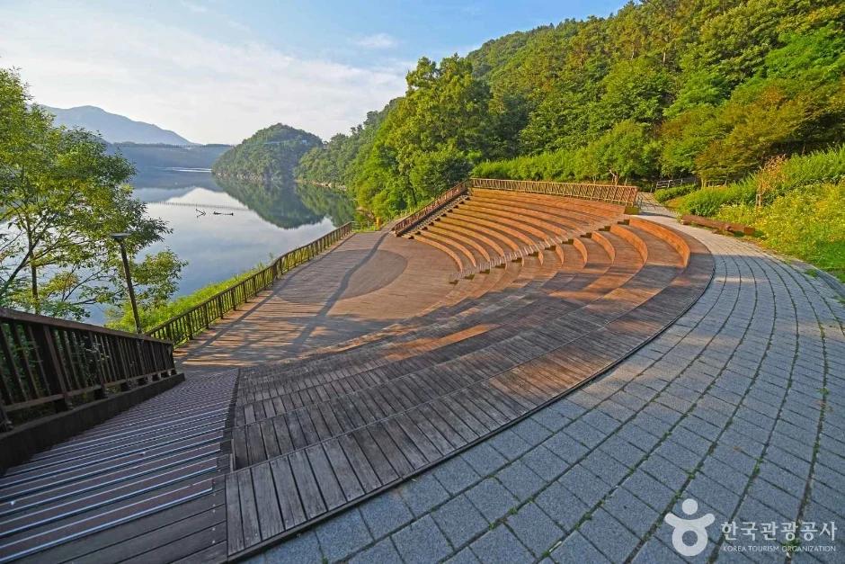 여름밤 반딧불이가 가득하다고요?"... 7월 충북 진천군 미르숲에서 만나는 환상적인 풍경