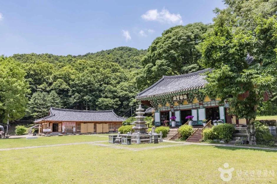 청주 보살사, 템플스테이 예약 방법과 주변 명소
