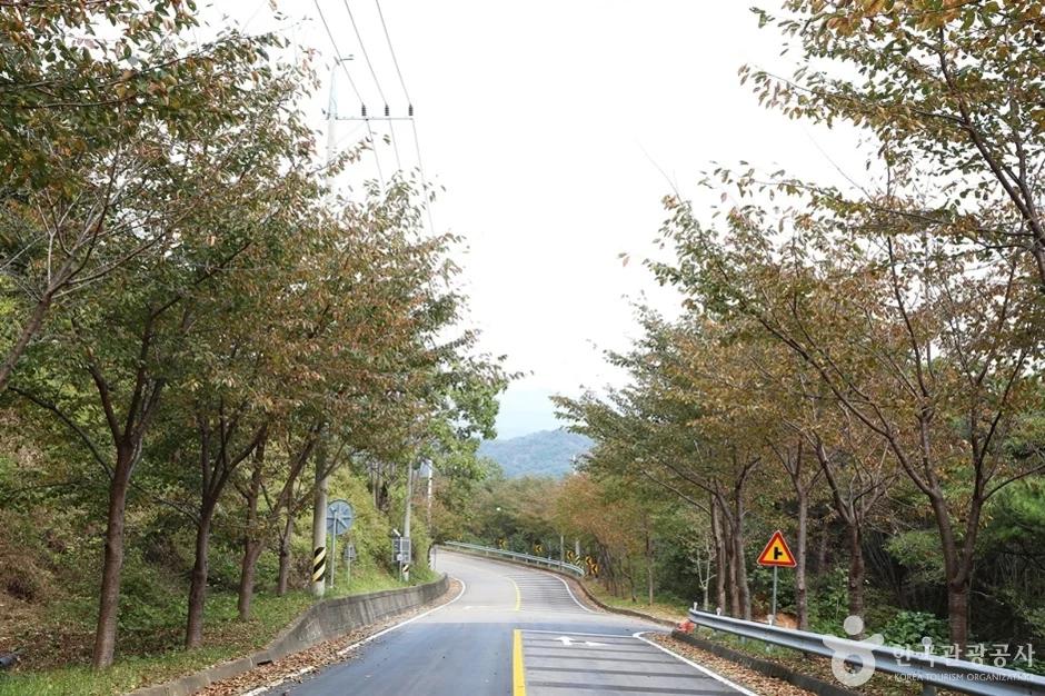 이런 길은 처음이야"... 산청군 둔철산로 675-87, 정취암 가는길