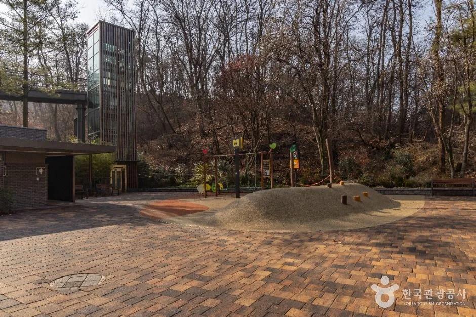 도심 속 힐링 공간이 유네스코 세계유산이라고?"... 강남에 위치한 선릉과 정릉 숲길