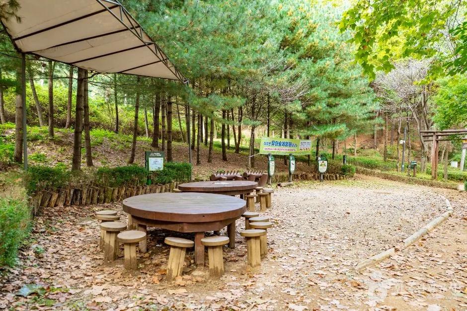 4km 숲길이 무장애라니?"... 서울 양천구 계남근린공원, 남녀노소 즐기는 도심 속 힐링