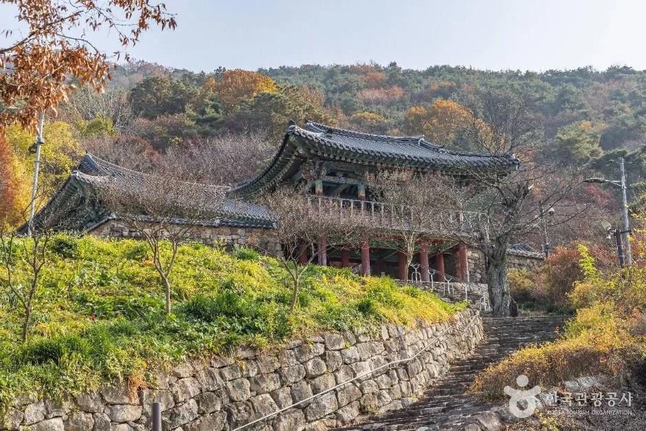 고즈넉한 산사에서 인생샷 건진다고?"... 전북 전주시 승암사에서 만나는 힐링 여행