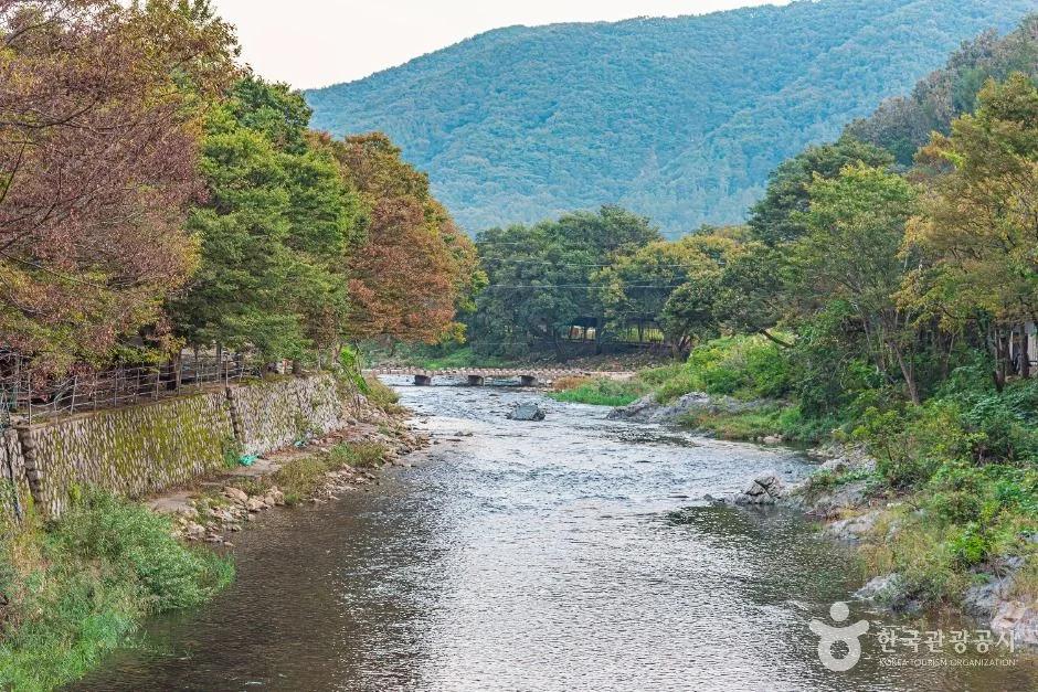 완주 옥계천, 시원한 물놀이와 자연 속 힐링 코스