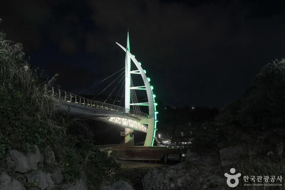 야경이 이렇게 예쁜데 입장료가 없다고?"... 제주 서귀포시, 새연교의 밤을 무료로 즐기는 법