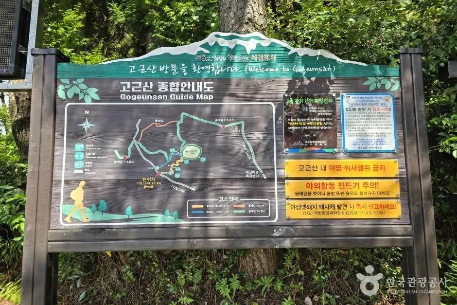 정상까지 20분이면 도착하는데 360도 오션뷰?"... 제주 서귀포 고근산, 힐링 산책 명소