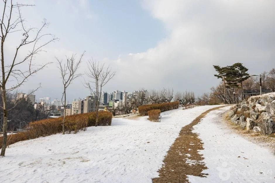 매회 7만 명 방문, 최대 규모 전시라고?"... 서울 강남구에서 열리는 일러스트레이션 페어