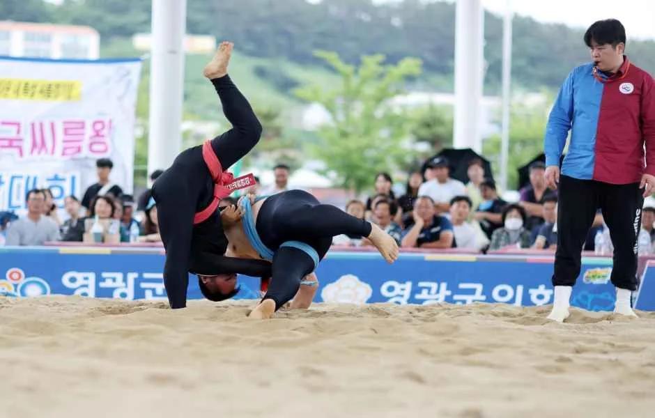 500년 역사에 무료입장까지?"... 6월 전라남도 영광에서 만나는 전통 민속 축제