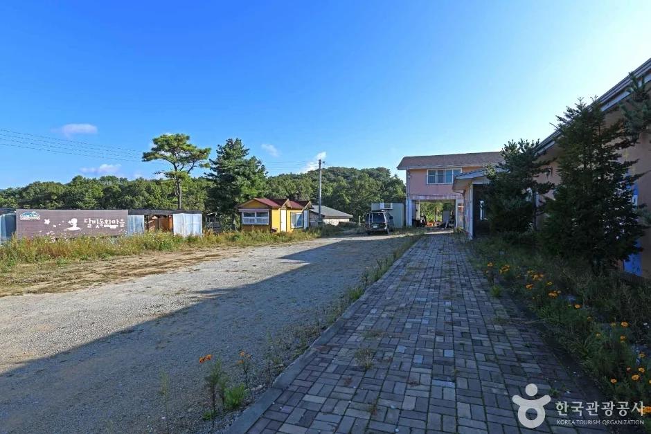 어둠이 내리면 동화가 시작돼요"... 인천 강화군, 365일 환상적인 야경을 선사하는 달빛동화마을