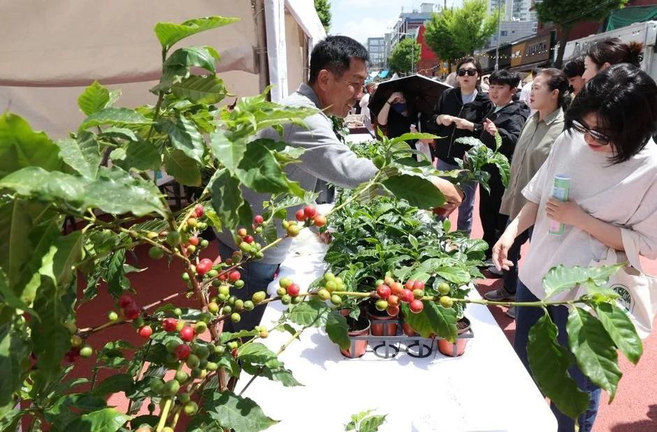 노원구 경춘선 공릉숲길 커피축제, 기간·장소·주요 프로그램 정보