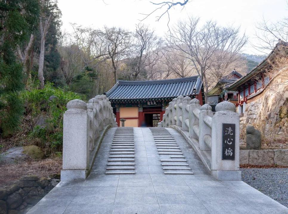 무료로 만나는 힐링 명소?"... 경남 남해 1300년 역사 품은 원효대사 창건 용문사