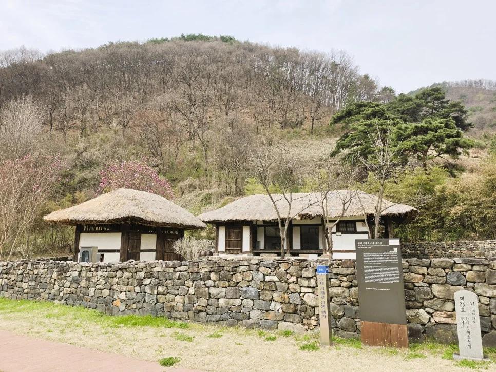 대전에도 이런 역사가 숨어있었다니?"... 140년 전 그날, 대전 단재 신채호 선생 생가