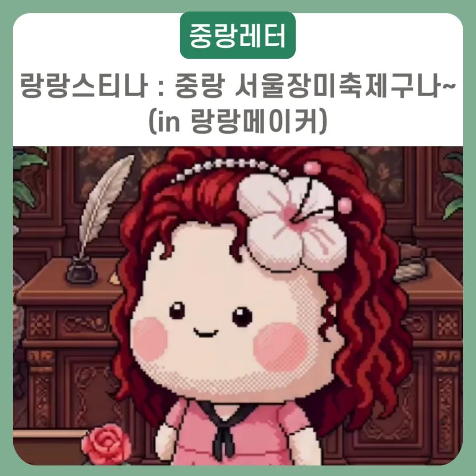 장미 200종 100만 송이가 무료라고?"... 서울 중랑 5.15km 장미터널 축제