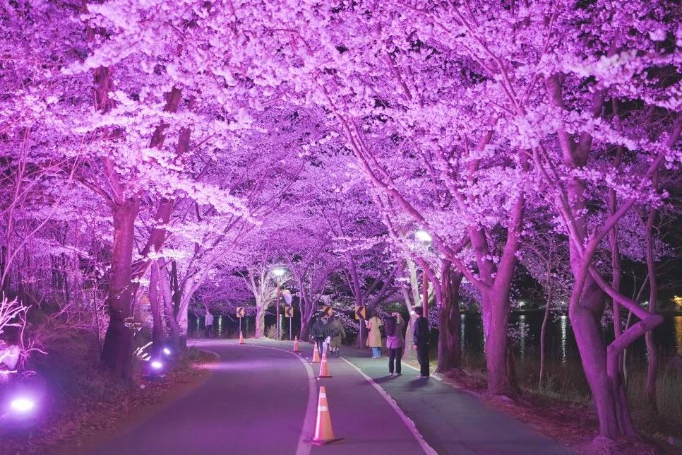 밤이 더 예쁜 이곳은 어디?"... 365일 빛나는 강원 속초시 5대 야경 명소