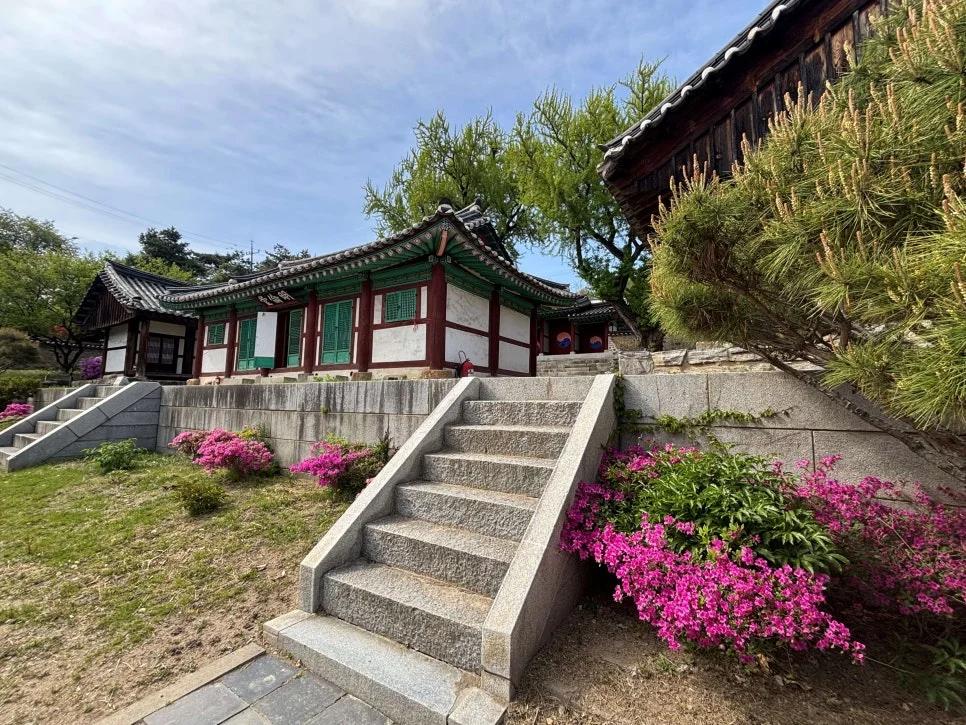 도심 한복판에 이런 곳이?"... 600년 역사 품은 수원 향교에서 만나는 시간 여행