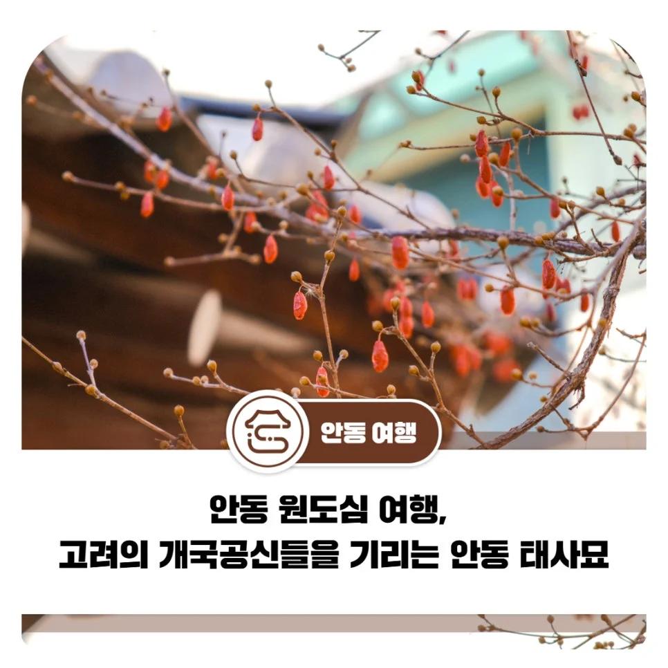 고려 건국 영웅들의 흔적을 쫓다"... 경북 안동 원도심 속 1000년 역사 태사묘