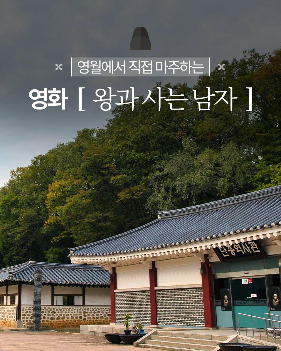 단종의 유배지, 봄에만 이렇게 아름답다고?"... 강원 영월 청령포의 유일무이한 봄 역사 여행