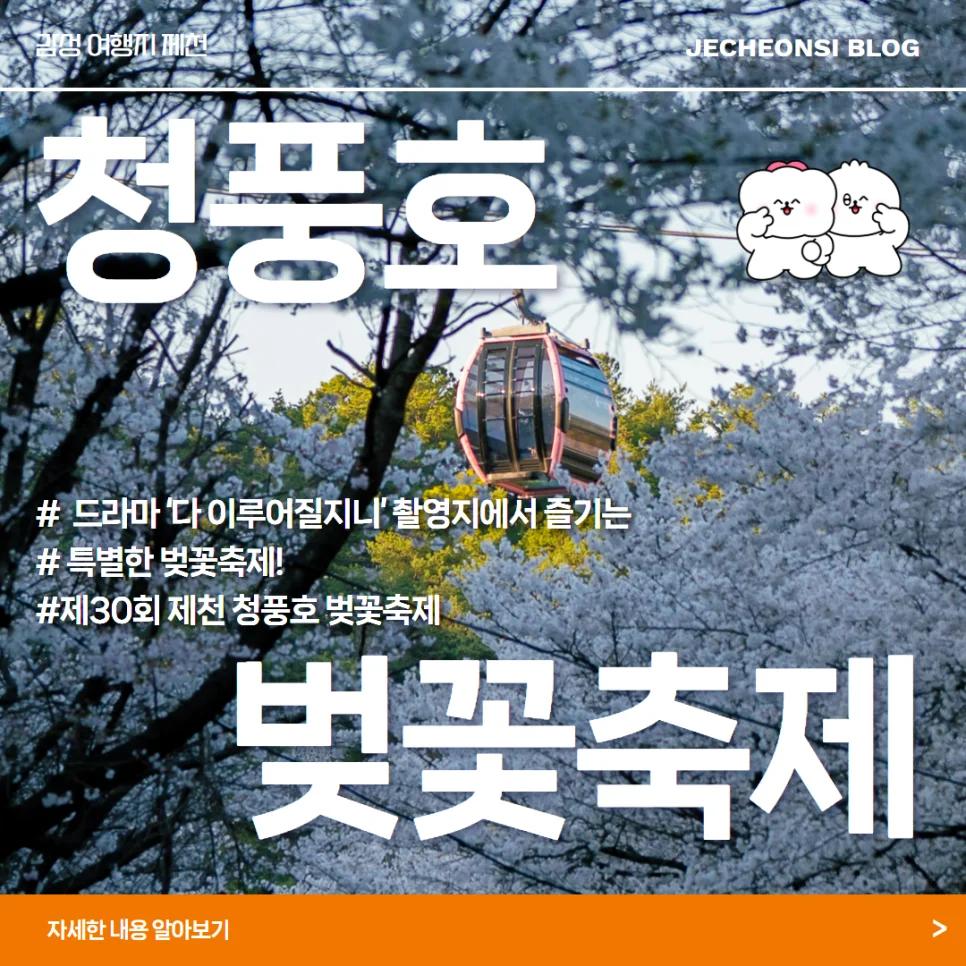 드라마 '다 이루어질지니' 촬영지라니"... 제30회 충북 제천 청풍호에서 열리는 벚꽃축제