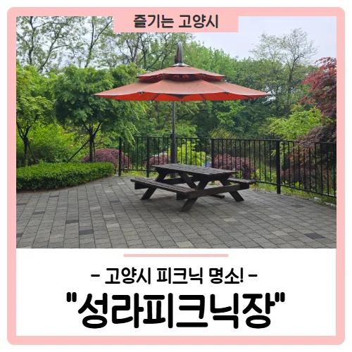 숲캉스 따로 있나요?"... 고양시 성라피크닉장, 2만 평 규모 숲속 피크닉 명소