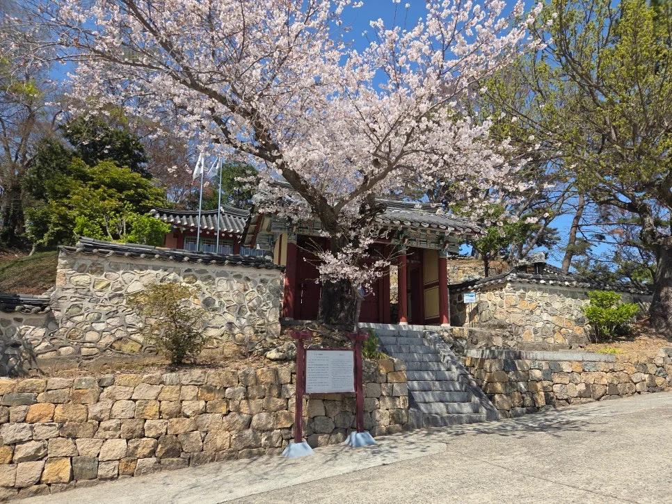 역사 덕후 아이와 부모 모두 만족"... 경남 남해 600년 무민사에서 떠나는 가족 역사 여행