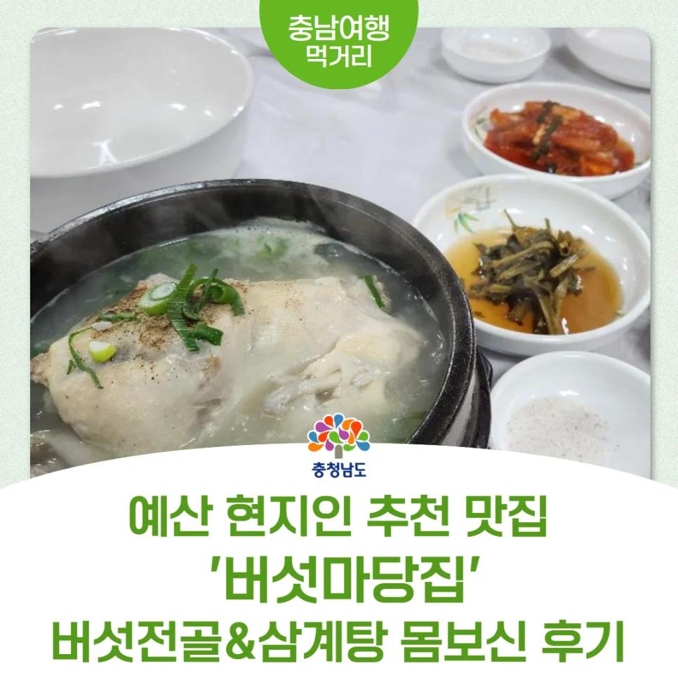 한 그릇에 단돈 8천 원인데 삼계탕이 공짜?"... 충남 예산 현지인 추천 버섯전골 맛집