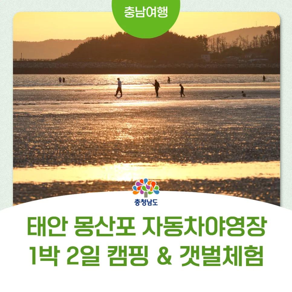별보며 캠핑하고 갯벌체험까지 무료라고?"... 몽산포 자동차야영장 1박 2일 태안 캠핑