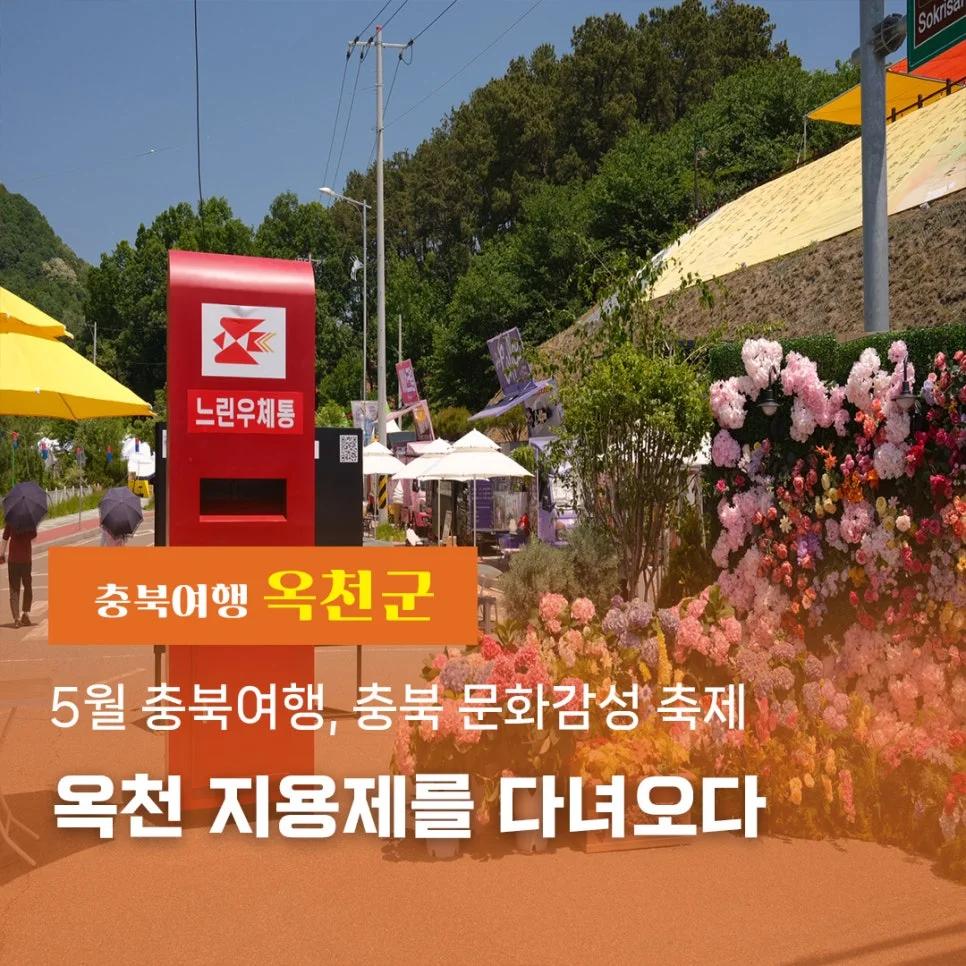 5월 단 4일만 열리는데 무료라고?"... 충북 옥천에서 만나는 문학 축제 지용제