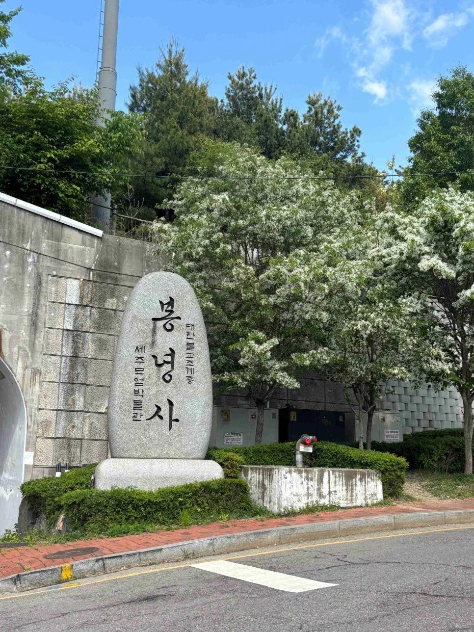 수원에서 템플스테이 하고 싶다고요?"... 600년 역사 봉녕사에서 만나는 늦봄 풍경