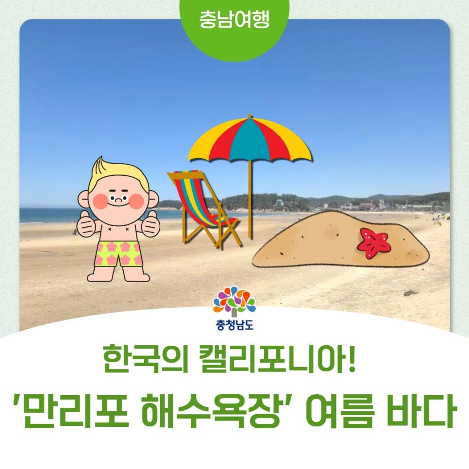 한국의 캘리포니아? 100년 만에 변신 완료"... 충남 태안 만리포 해수욕장