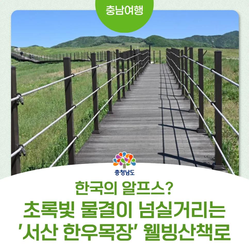한국에 이런 알프스가 있다고?"... 1시간 걷기 좋은 서산 한우목장 웰빙산책로