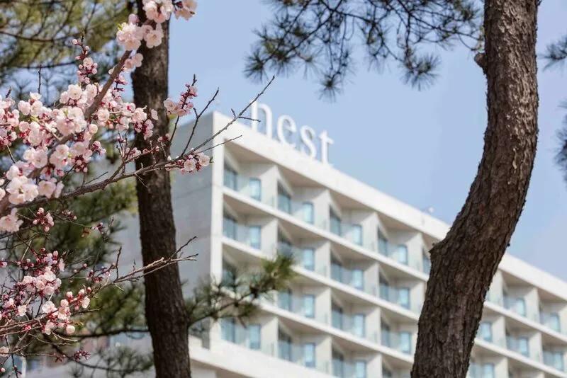 네스트호텔 인천