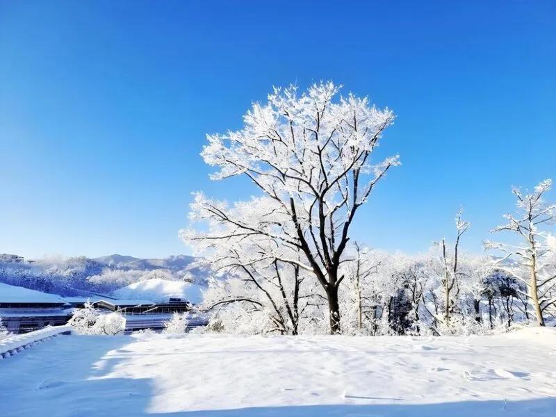 속초울산바위민박