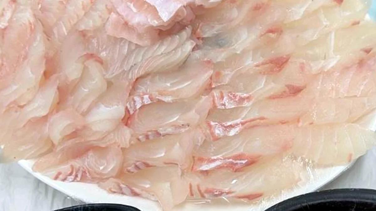 군침 도는 제철 활어"... 충남 서천 마량포구, 6시내고향 광어 도미 맛집