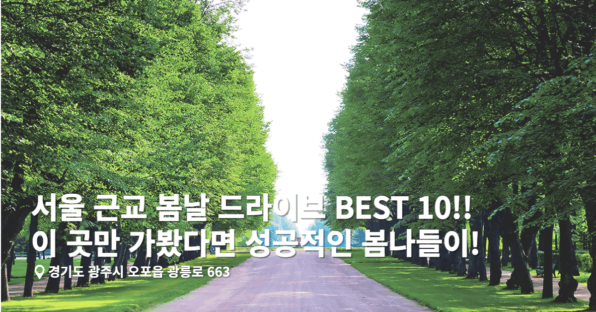 서울 근교 봄날 드라이브 BEST 10, 이 곳만 가봤다면 성공적인 봄나들이!