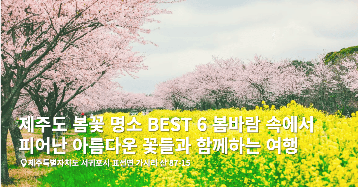 제주도 봄꽃 명소 BEST 6, 봄바람 속에서 피어난 아름다운 꽃들과 함께하는 여행
