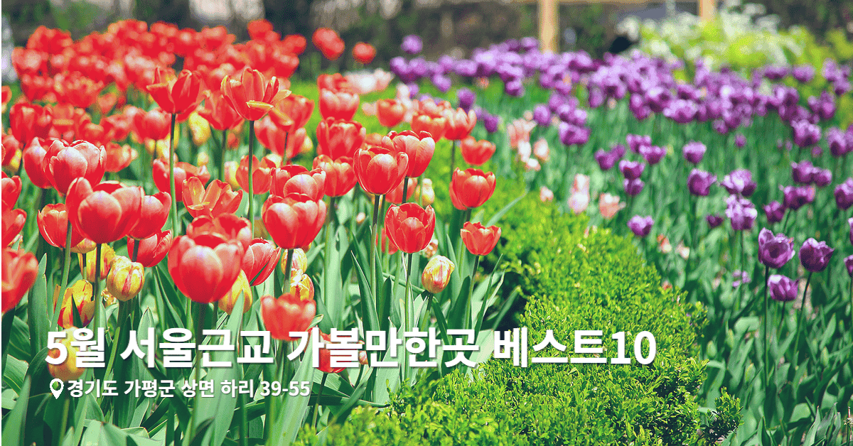 5월 서울근교 가볼만한곳 베스트10